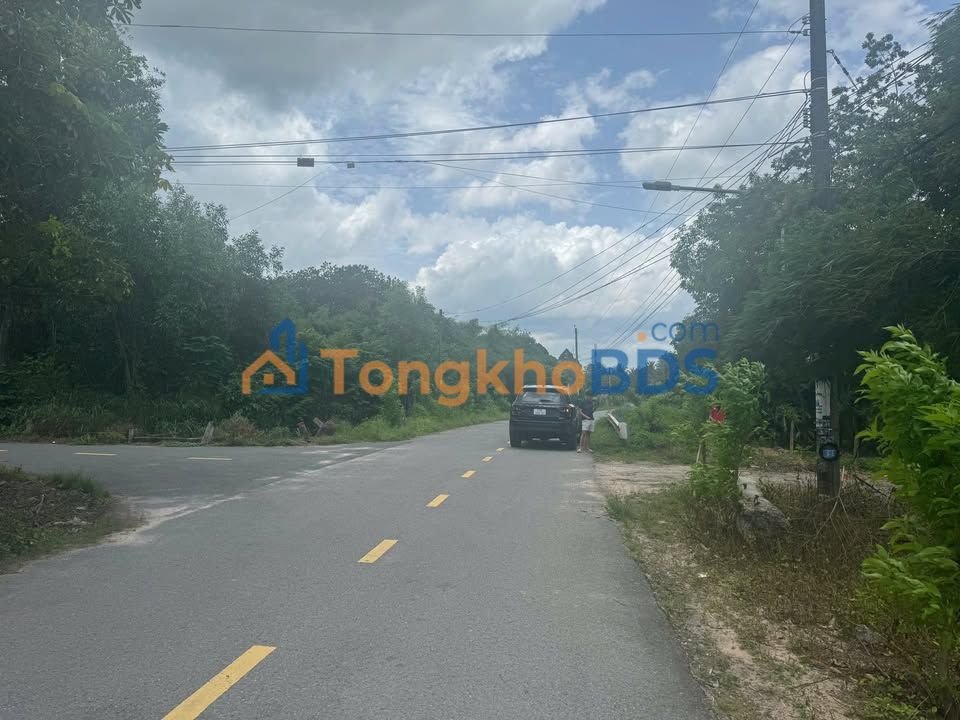 Đất nền Bến Cát 25.000m² 1,299 tỷ - Xây dựng tự do