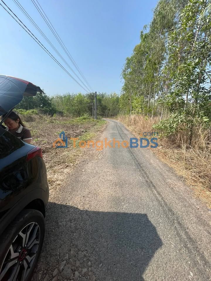 Đất nền Dầu Tiếng Bình Dương 190m² 500-599 triệu - Thổ cư 100%