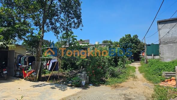 Đất nền Xóm Cáp Thanh Sơn 770m² 1 tỷ - Giá tốt hiếm có