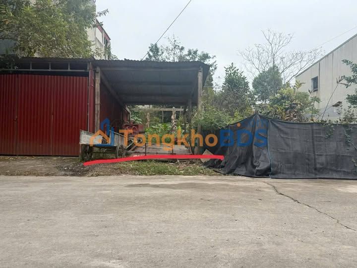 Bán đất 90m² Vũ Thê Lang, Việt Trì - Vị trí đắc địa, sổ đỏ chính chủ