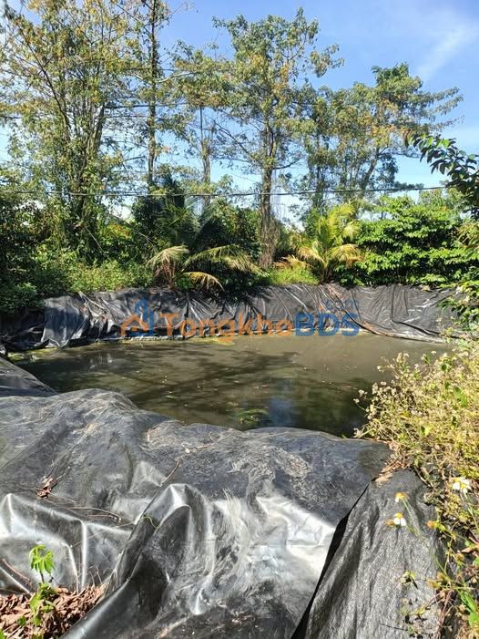 Bán Gấp Đất Vàng Đồng Nai 1.7ha - Tiềm Năng Đầu Tư Sinh Lời Cao