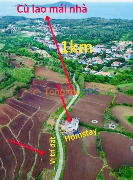 Bán Đất Nền 115m² Sổ Đỏ Ấp Cát, Sông Cầu - Gần Biển, Giá 5 Tỷ