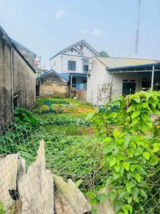 Đất nền Hồng Tiến Phổ Yên 159m² 1,3 tỷ - Sổ đỏ chính chủ