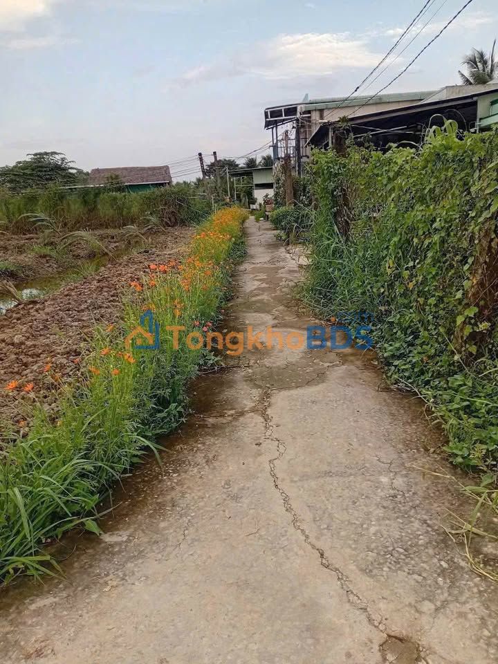 Nhà vườn An Vĩnh Ngãi 1288m² 1.45 tỷ - Giá tốt hiếm có