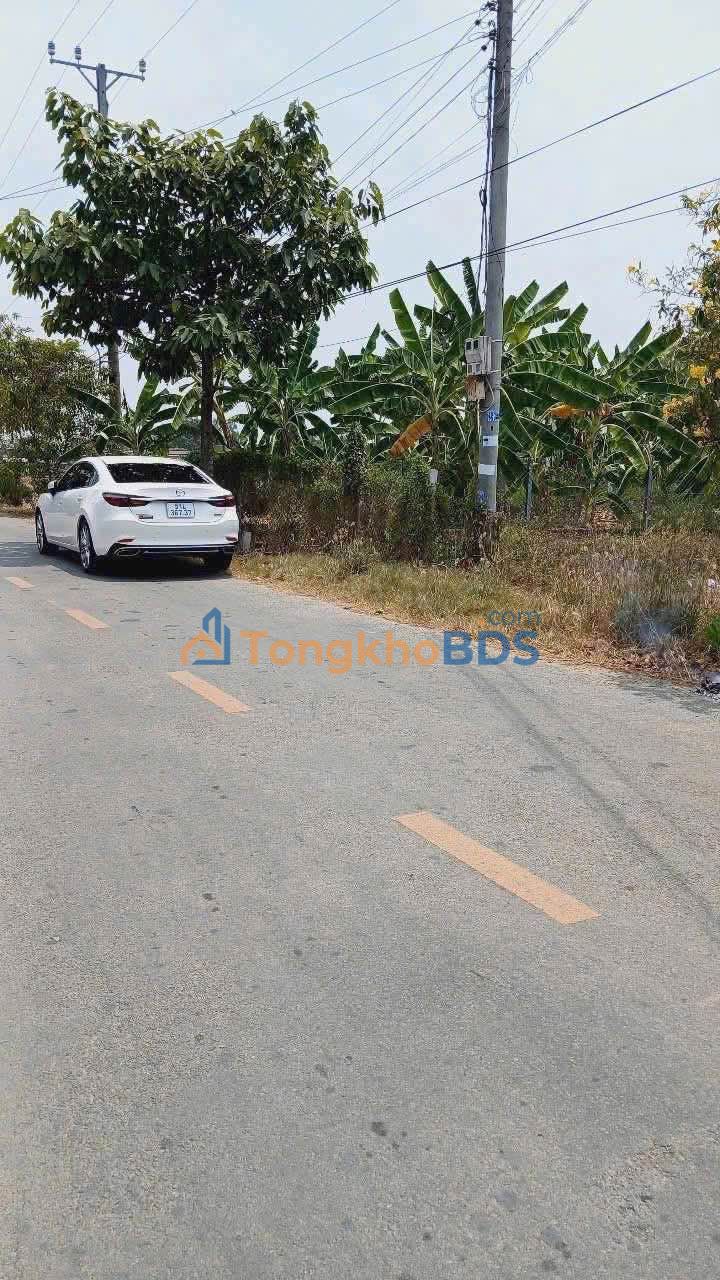 Đất nền Bến Lức 203m2 3.6 tỷ - Tiềm năng tăng giá