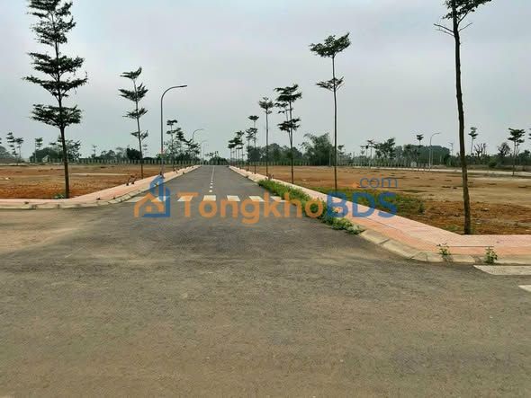 Bán Đất 75m² Thổ Cư Thị Trấn Hưng Hóa, Phú Thọ - Giá 1 Tỷ