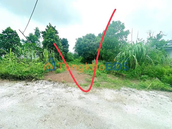 Bán Gấp Đất Nền 100m² Nguyễn Tất Thành, Việt Trì - Giá 2 Tỷ