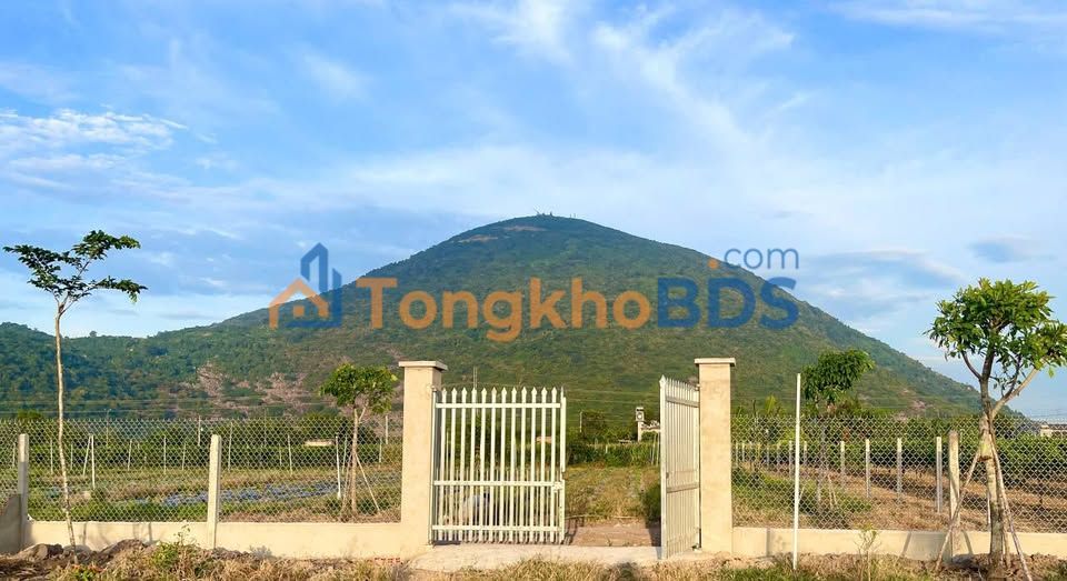 Đất nền Ninh Sơn Tây Ninh 1197m² 980 triệu - Sổ đỏ chính chủ