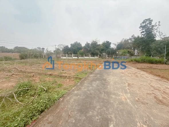 Đất nền Phú Hộ Phú Thọ 170m² 500-599 triệu - Giá F0 CĐT