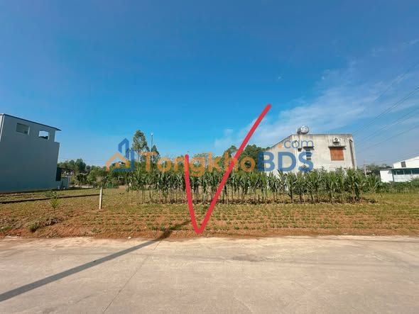 Đất nền Việt Trì 100m² thỏa thuận - Đường to ô tô