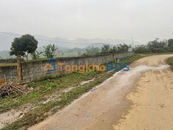 Đất nền Cự Thắng Thanh Sơn 163m² giá 300tr - Đường to ô tô