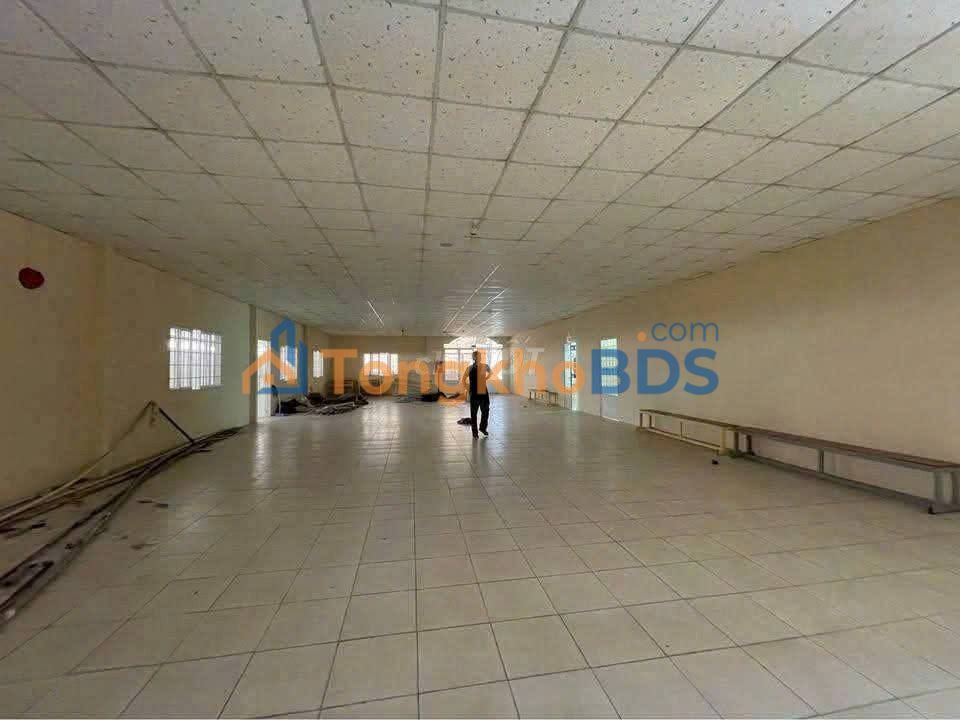 Nhà phố Gò Vấp 1440m² 270 triệu/tháng - Cho thuê ngay