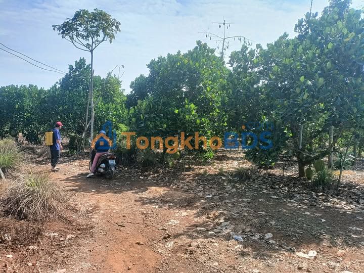 Đất nền Xuân Mỹ Cẩm Mỹ 4.600m² 5,11 tỷ - Tiềm năng tăng giá