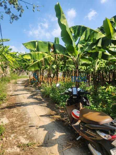 Đất Ấp 8 Sông Ray 360m² 650 triệu - Sổ đỏ chính chủ