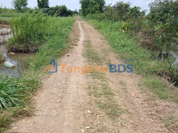 Đất nền Tăng Hòa 9.900m² hóc môn - Sổ đỏ chính chủ, giá F0 ĐẦU TƯ!,