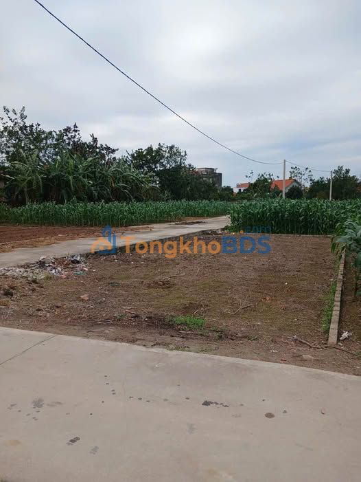 Đất nền Lương Tài 91m2 giá 2 tỷ - Sổ đỏ chính chủ