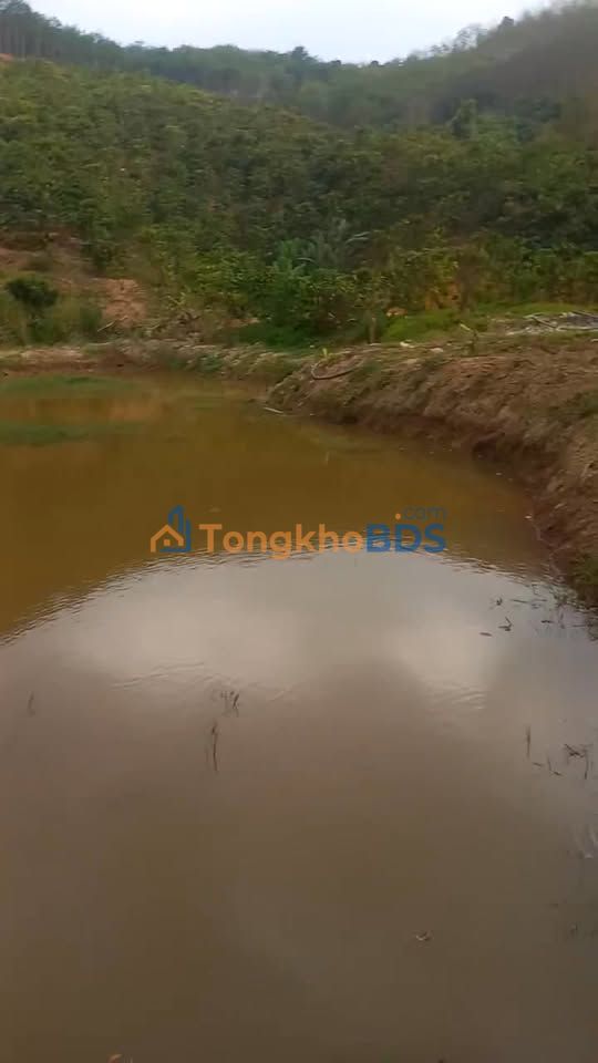 Đất nền Ngọc Hồi Kon Tum 2.2ha dưới 3 tỷ - Đường to ô tô