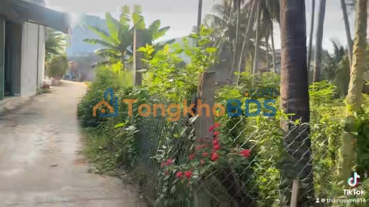 Đất nền Tam Quan Nam 650m² 700 triệu - Đường to ô tô