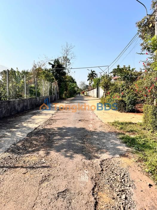 Đất nền Ea Tam 175m² 790 triệu - Tiềm năng tăng giá