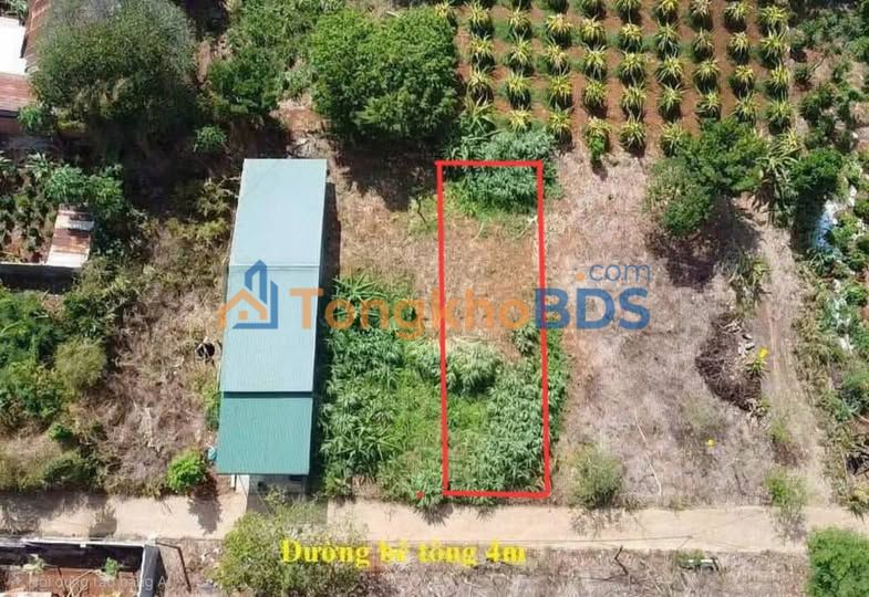 Đất hẻm Đường C Buôn Ma Thuột 130m² 1,56 tỷ - Sổ đỏ chính chủ