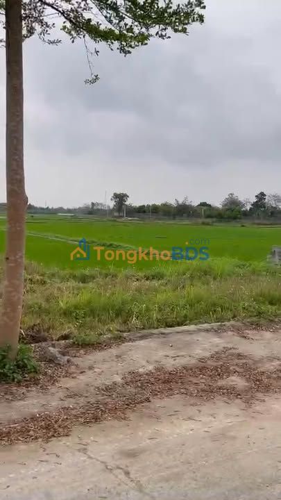 Đất Yên Phụ Yên Phong 230m² hơn 1 tỷ - Giá tốt hiếm có