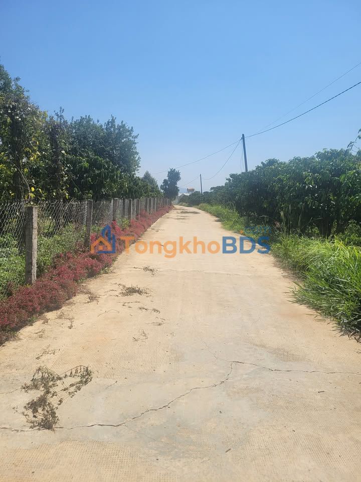 Đất nền Đà Lạt Đinh Văn Lâm 360m² 1.8 tỷ - Sổ đỏ chính chủ