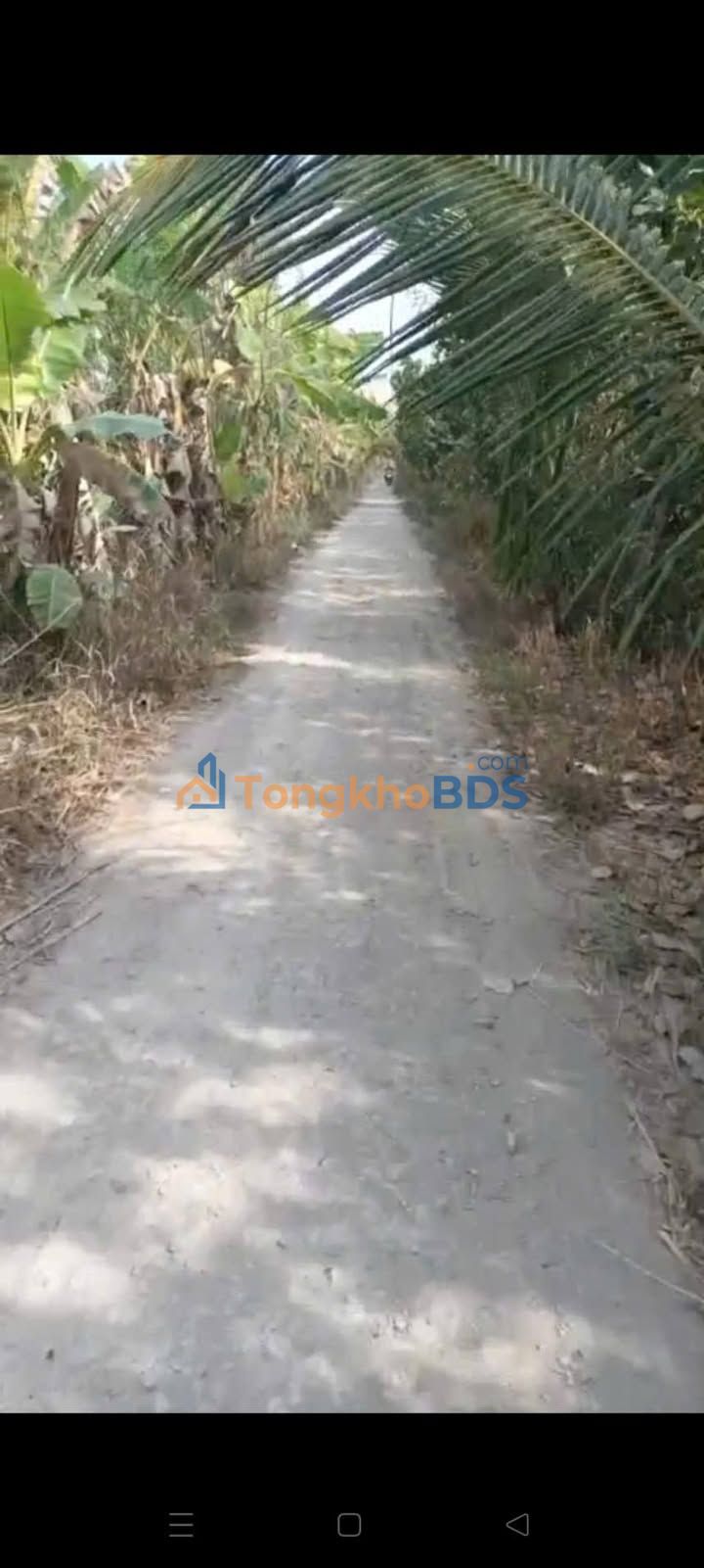 Đất vườn Đốc Binh Kiều 1.404m² 650 triệu - Nghỉ dưỡng lý tưởng