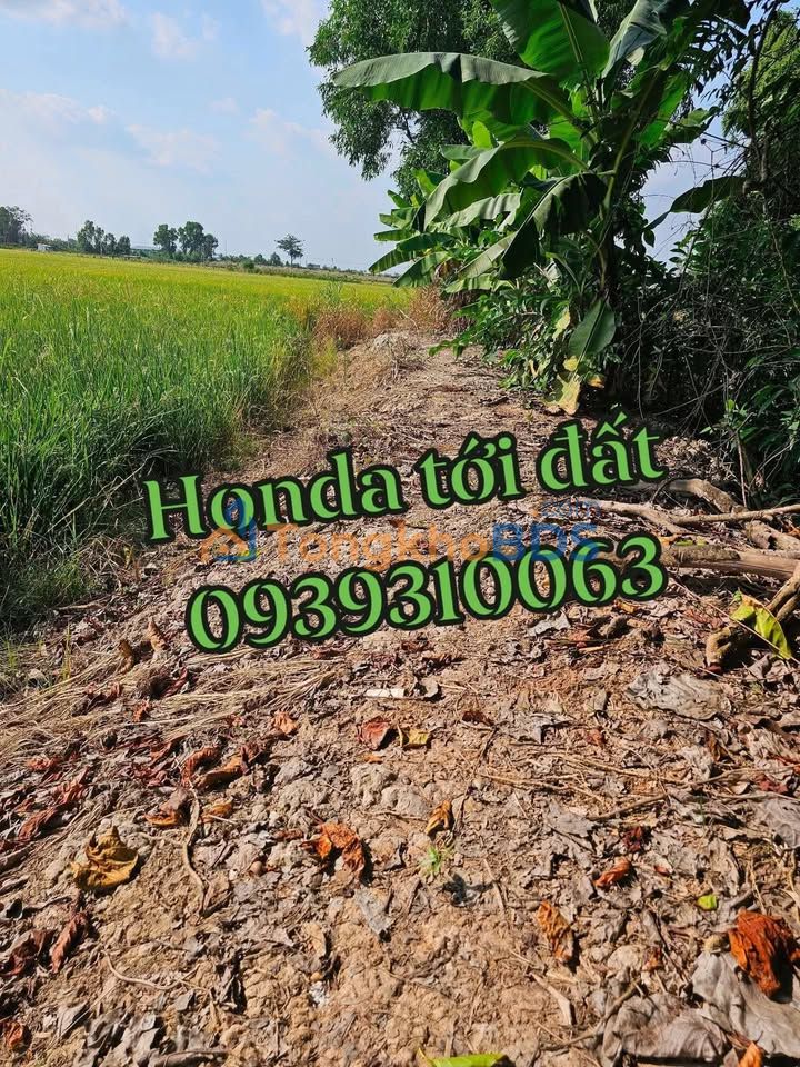 Đất nền Phường 3 Sa Đéc 2000m² 1.8 tỷ - Sổ đỏ chính chủ