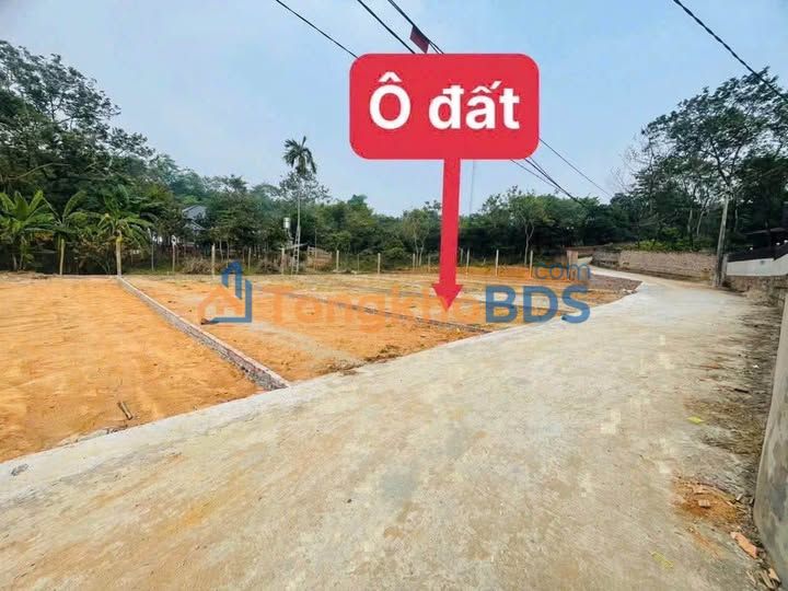 Bán Đất Hoàng Hoa, Tam Dương 80m² Giá 6xx Triệu - Sổ Hồng Sẵn Sàng