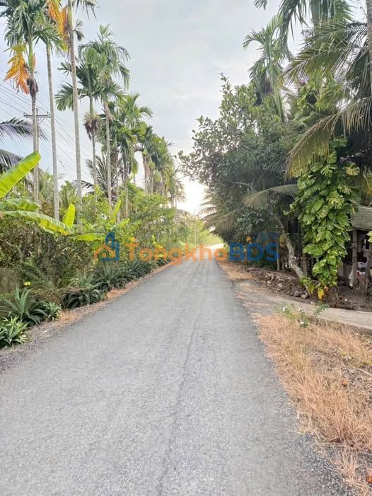 Đất nền Phường I Vị Thanh 123m² 300 triệu - Sổ đỏ chính chủ