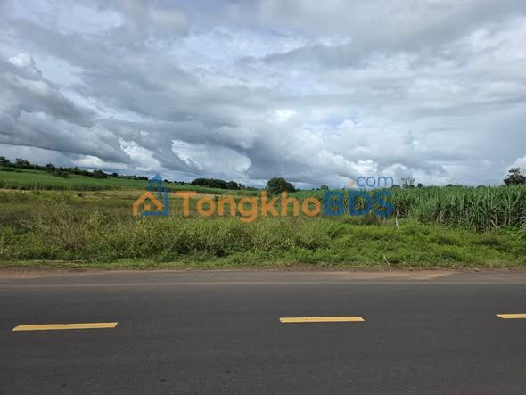 Đất nền H Bông Kon Tum 3.220m² 760 triệu - Đường to ô tô