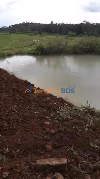 Đất nền Đắk Lắk QL26 1.260m² 1.35 tỷ - Pháp lý rõ ràng