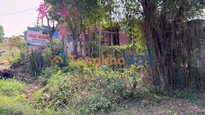 Nhà riêng Phan Đình Giót Chư Sê 14400m² 1.2 tỷ - Chính chủ bán