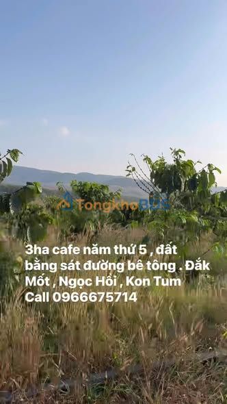 Đất vườn Đắk Xú Ngọc Hồi 3ha 4.7 tỷ - Sinh thái xanh