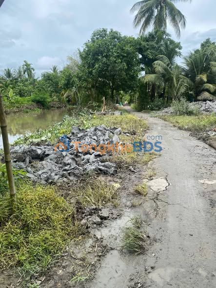 Đất nền Ấp 7 Vị Trung 497m² 355 triệu - Sổ đỏ chính chủ