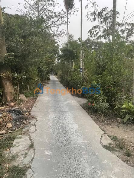 Đất nền Vị Đông 585m² 5XX triệu - Tiềm năng tăng giá