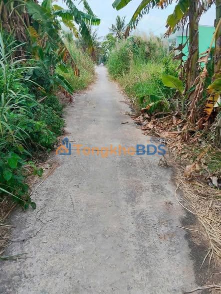 Đất vườn Hỏa Lựu Vĩnh Thạnh 6.000m² giá 780 triệu - Giá đầu tư tốt