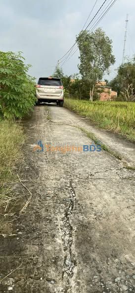 Đất nền sổ hồng riêng Lê Văn Bèo Nối Dài, Tân Trụ - 140m² giá 490 triệu