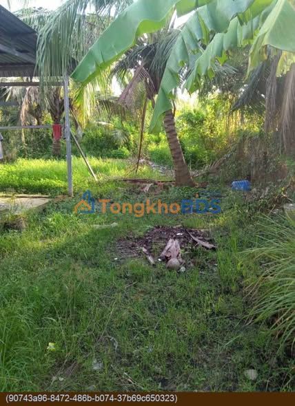 Đất nền Nhựt Ninh Long An 545m² 1,15 tỷ - Sổ đỏ chính chủ