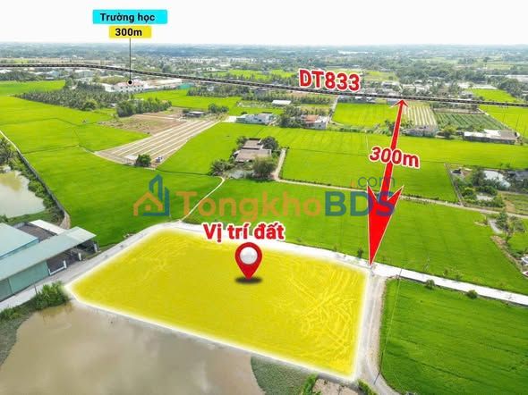 Đất nền Long An 170m² giá 485 triệu - Sổ đỏ chính chủ