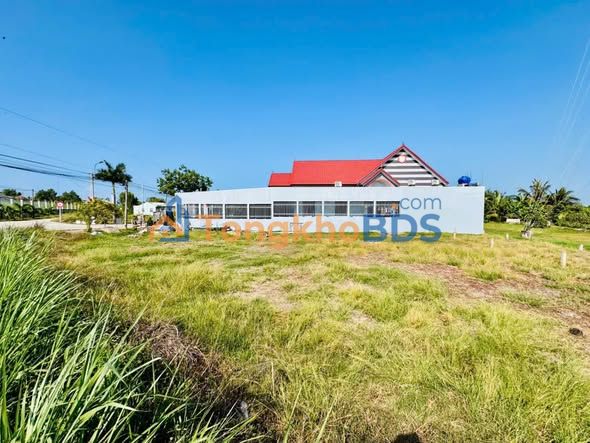 Đất nền Nhựt Ninh Tân Trụ 710m² 2,35 tỷ - Đường to ô tô