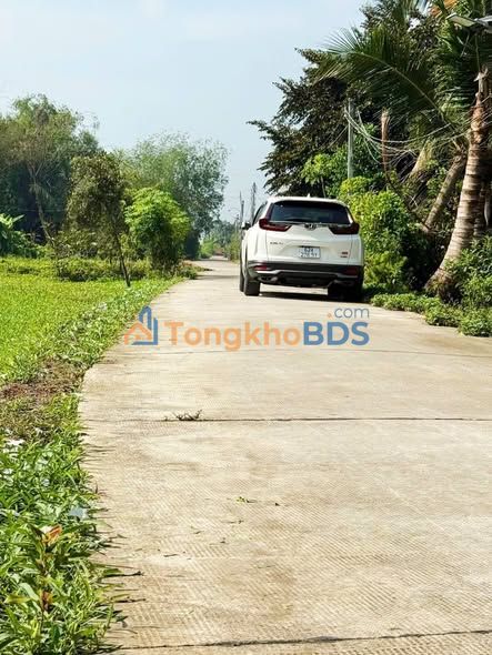 Đất nền Bình Lãng Tân Trụ 143m² 499 triệu - Tiềm năng tăng giá