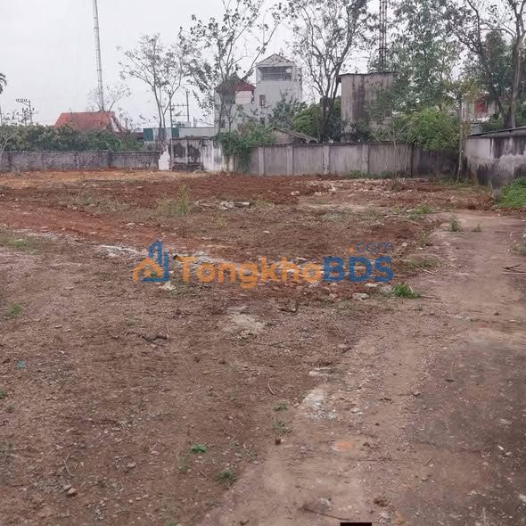 Đất nền TDP Kim, Bắc Giang: Sổ đỏ trao tay, chỉ từ 3xx triệu