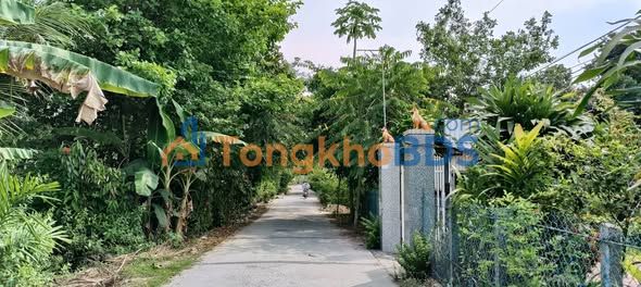 Đất nền Lai Vung 400m² giá 900 triệu - Sổ đỏ chính chủ