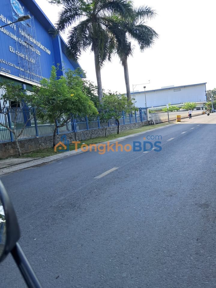 Đất nền Bình Thành Tiền Giang 11.000m² 6.6 tỷ - Đường oto