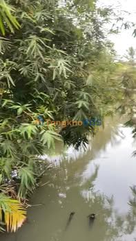 Đất nền Chợ Gạo 620m² - Thổ cư 130m, xây dựng tự do