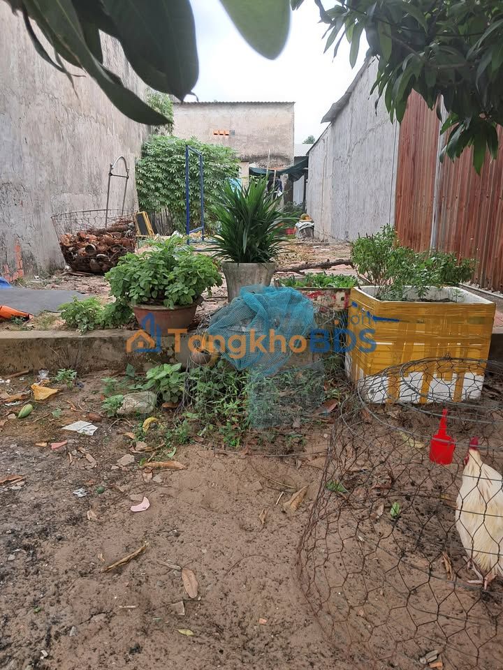 Đất nền Ấp Trung Tân Thạnh 81m² 450 triệu - Pháp lý rõ ràng