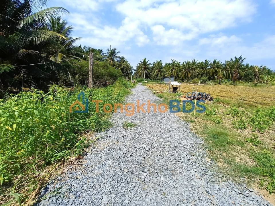 Đất vườn Bình Ninh 385m² 0,26 tỷ - Tiềm năng tăng giá