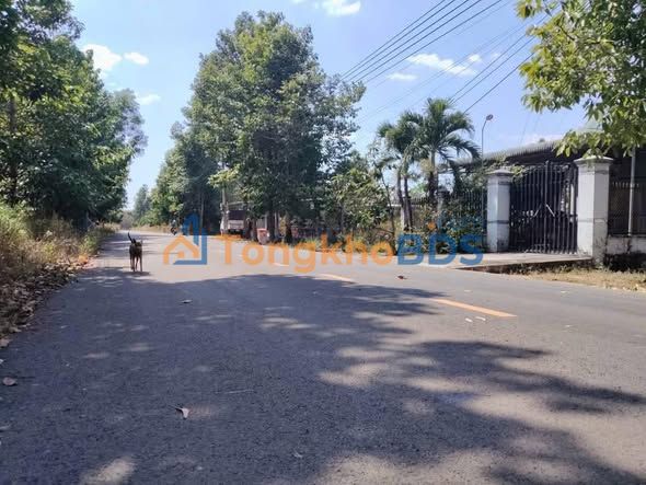 Đất TĐC An Lập 150m² 790 triệu - Đất thổ cư 100%