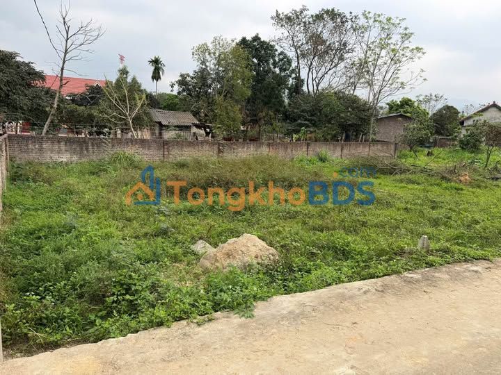 Đất nền Hữu Tài Tam Đảo 156m² 500 triệu - Sổ đỏ chính chủ